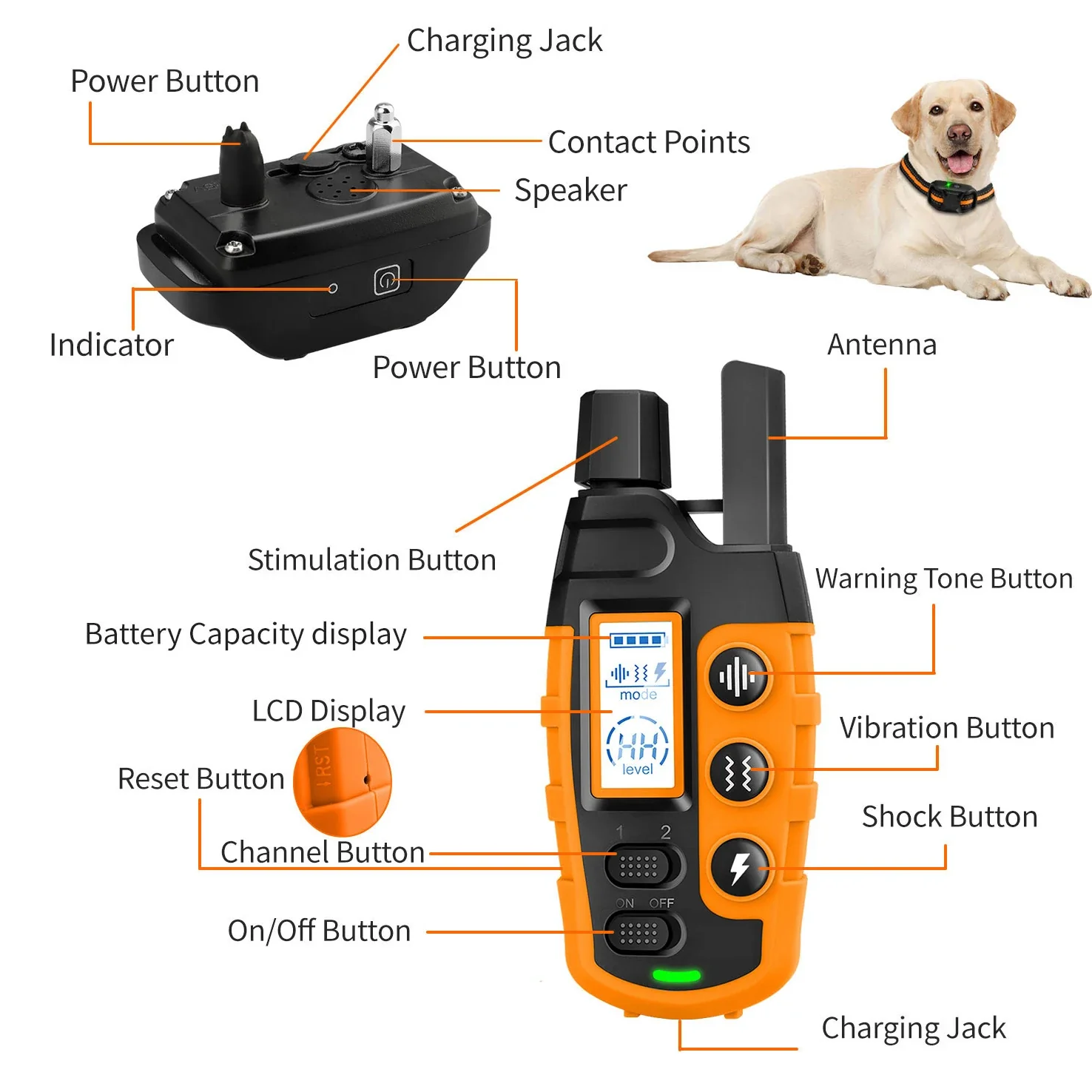 3300Ft Waterproof Electric Dog Training Collar for 5-120lbs Puppy with Remote Control - Image 5