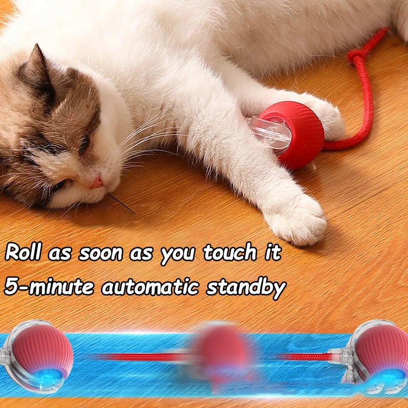 Automatic Rolling Ball Cat Toy - Interactive Mouse Imitation for Cat Training - Image 7
