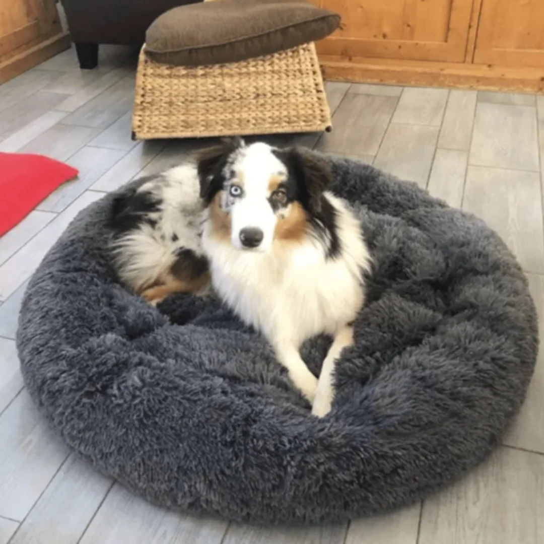 Calming Dog Bed Ultra Plush Cozy Nest With Raised Rim For Relaxing Sleep Fall 2025 Gift Idea - Image 9