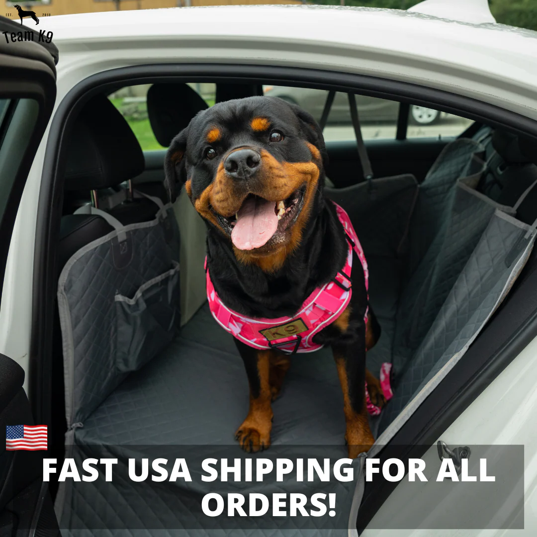 Car Seat Cover Hammock Waterproof Protector With Storage Pockets And Mesh Window For Cars And Trucks Fall 2025 Gift - Image 30