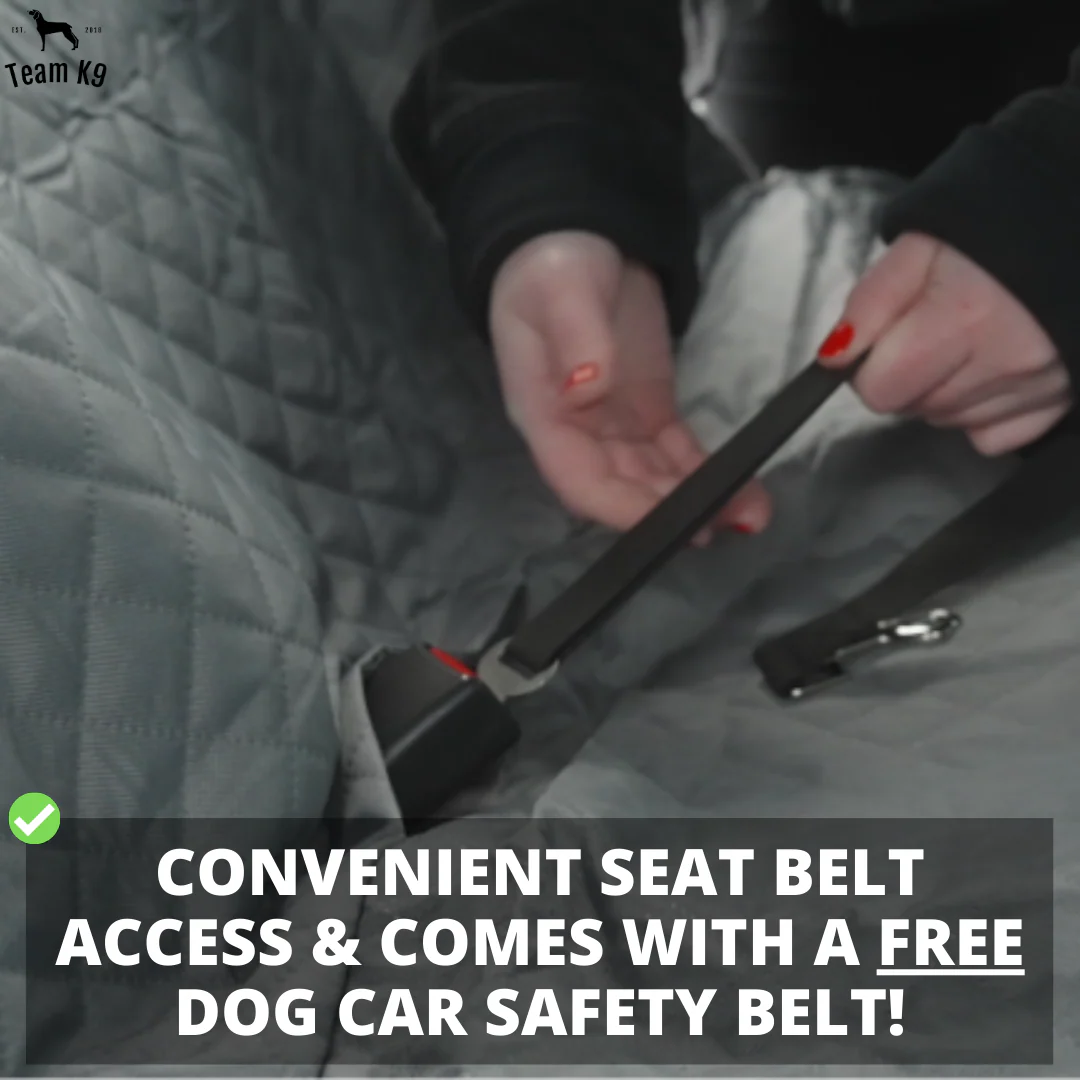 Car Seat Hammock Cover, Waterproof Non Slip Backseat Protector With Pockets, Free Safety Belt, Fall 2025 Travel - Image 18