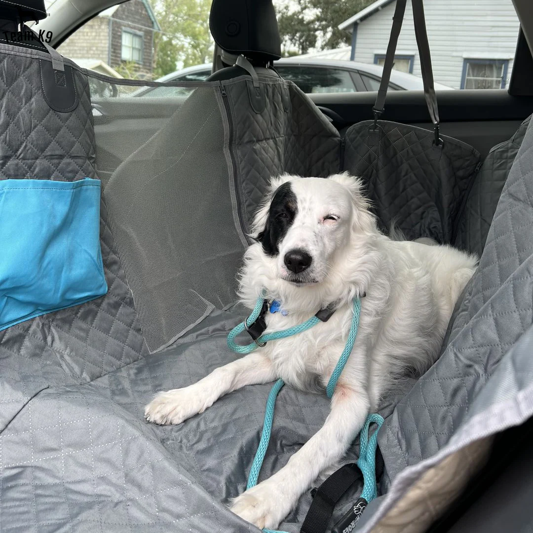 Car Seat Hammock Cover, Waterproof Non Slip Backseat Protector With Pockets, Free Safety Belt, Fall 2025 Travel - Image 26