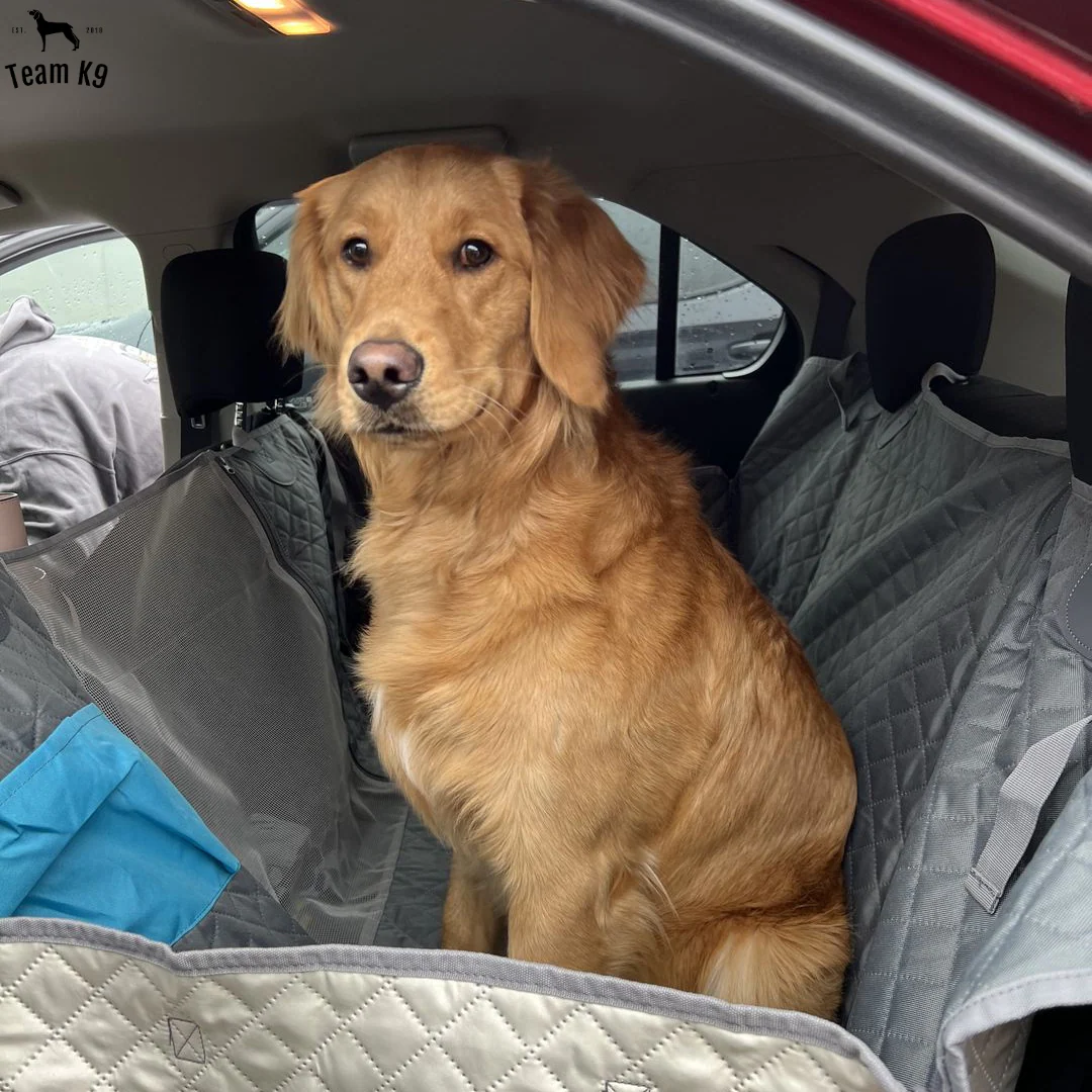 Car Seat Hammock Cover, Waterproof Non Slip Backseat Protector With Pockets, Free Safety Belt, Fall 2025 Travel - Image 28