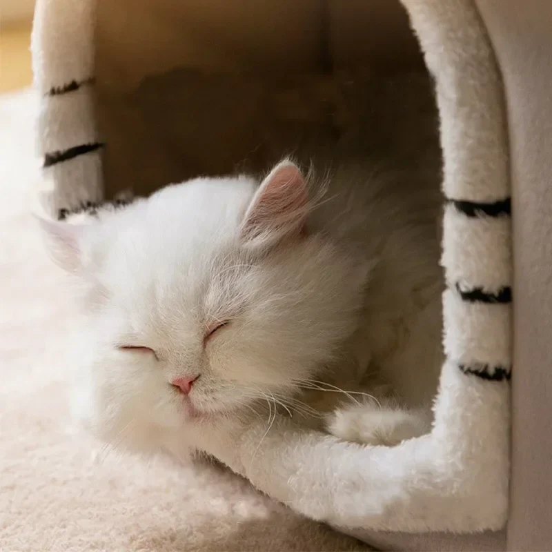 Cat Bed Foldable Cave House Plush Kennel Winter 2025 Cozy Washable Hideaway For Small Dogs And Cats - Image 5