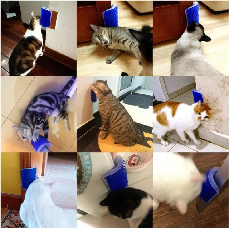 Cat Grooming Scratcher Brush & Massager for Dogs and Cats - Pet Hair Remover, 8 Colors - Image 2