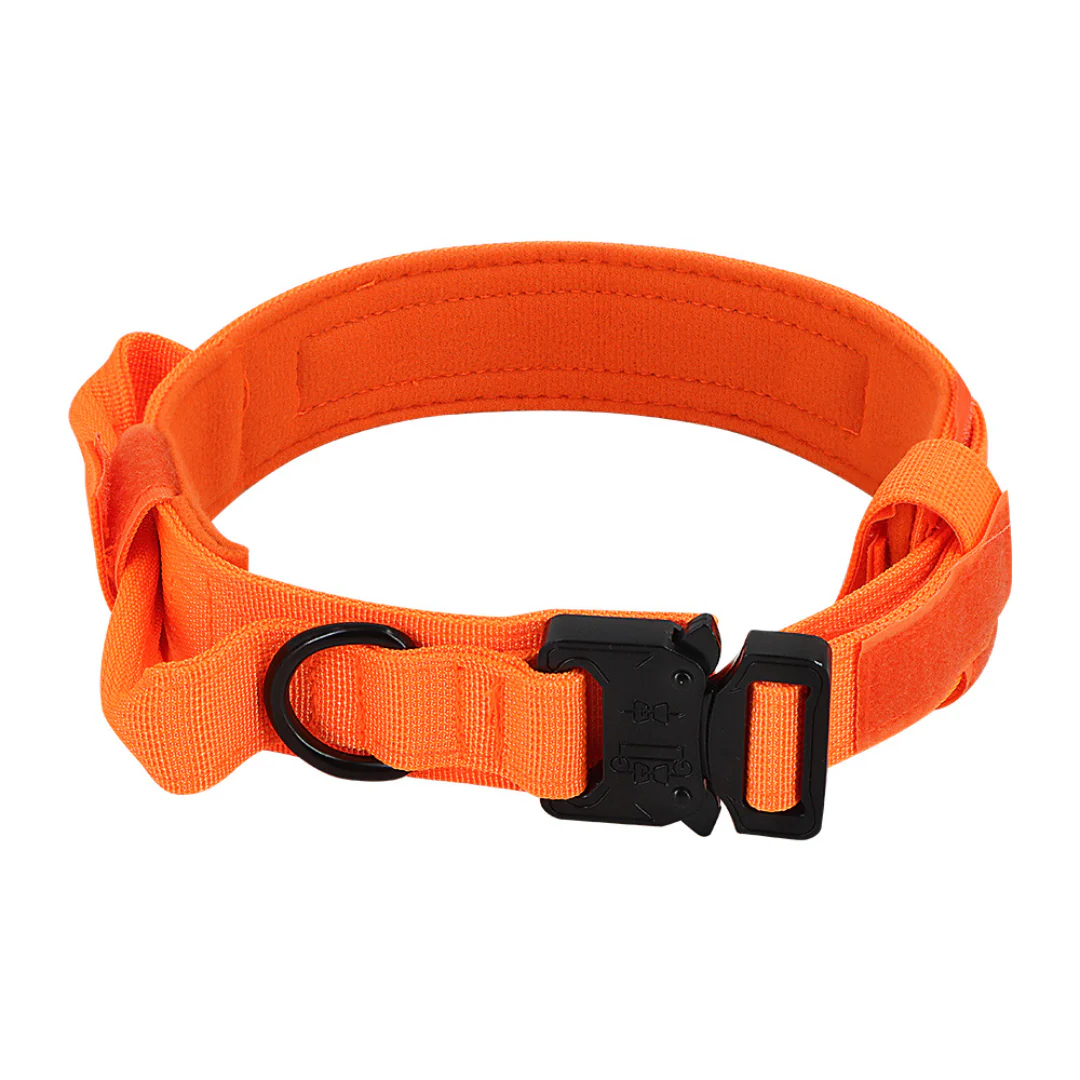 Dog Collar Tactical K9 With Patch Panel Top Handle Training And Control Fall 2025 - Image 6