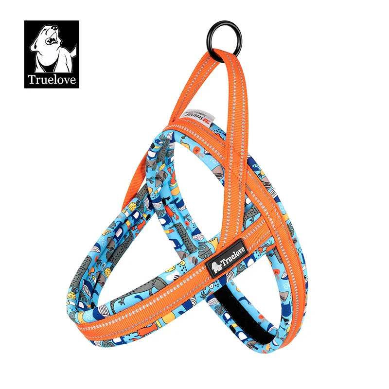 Dog Harness Floral Mesh Padded Vest Harness Quick Fit Adjustable All Breeds Fall 2025 Comfortable Walks - Image 11