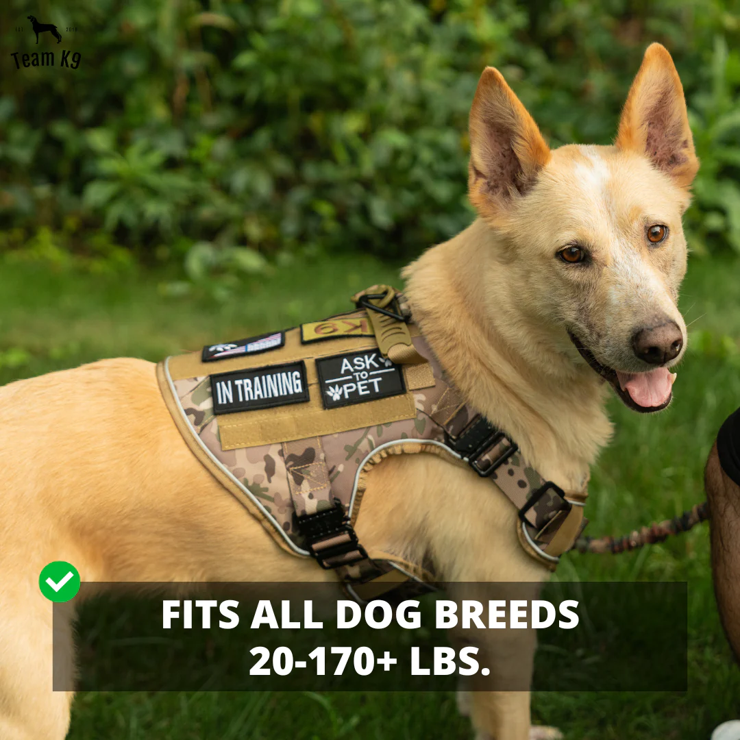 Dog Harness No-Pull Tactical Front Clip With 4 Quick-Release Buckles Reflective Strips Top Handle Fall 2025 - Image 64