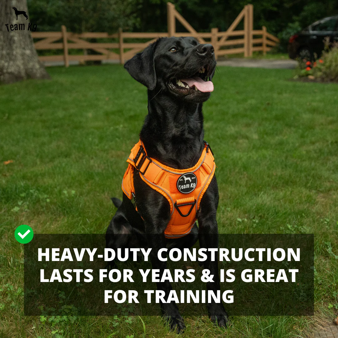 Dog Harness No-Pull Tactical Front Clip With 4 Quick-Release Buckles Reflective Strips Top Handle Fall 2025 - Image 67