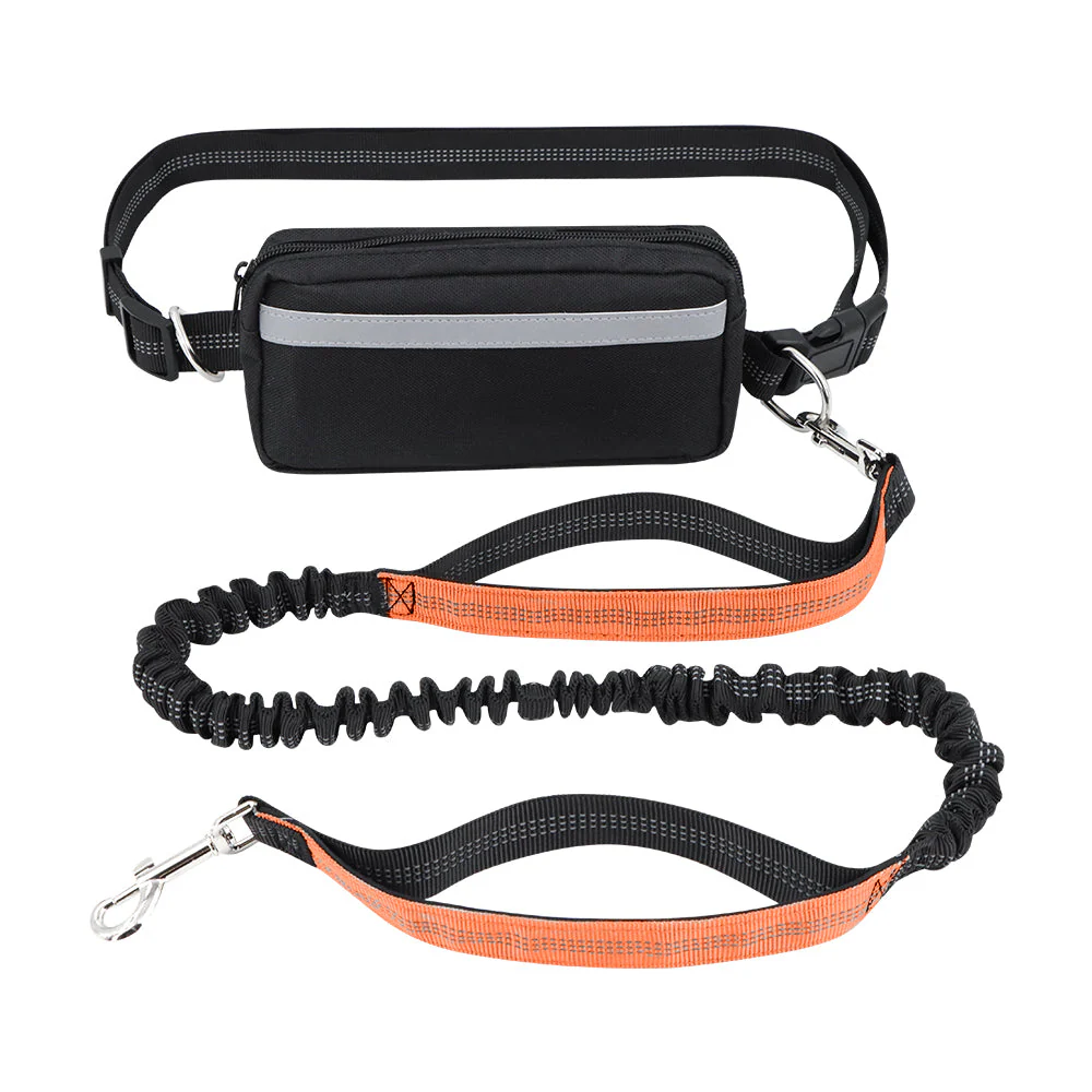 Dog Leash Double-Handle Hands-Free Bungee Reflective Walking Leash Fall 2025 Safe Control - Image 10