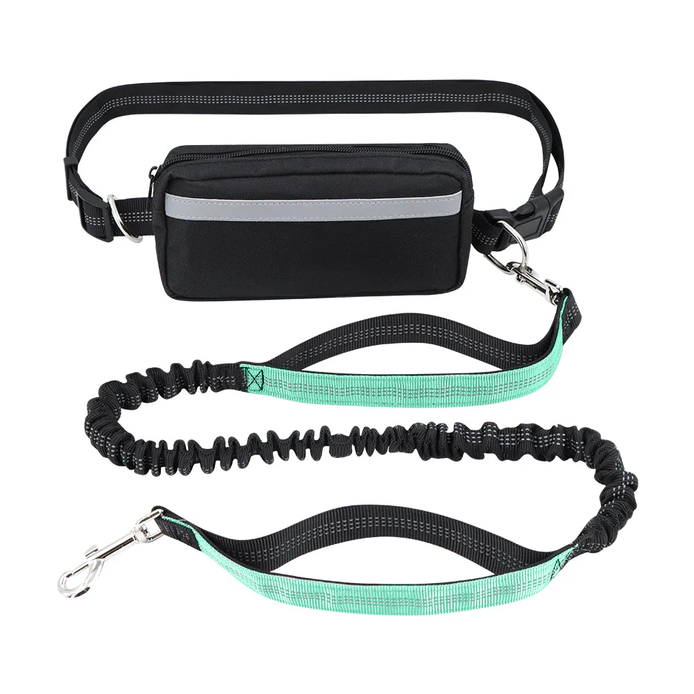Dog Leash Double-Handle Hands-Free Bungee Reflective Walking Leash Fall 2025 Safe Control - Image 12
