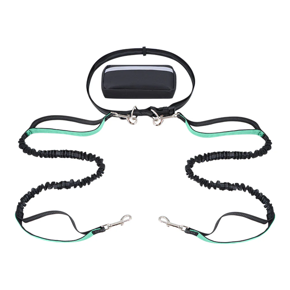 Dog Leash Double-Handle Hands-Free Bungee Reflective Walking Leash Fall 2025 Safe Control - Image 13