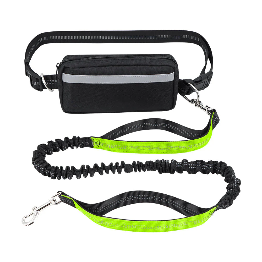 Dog Leash Double-Handle Hands-Free Bungee Reflective Walking Leash Fall 2025 Safe Control - Image 14