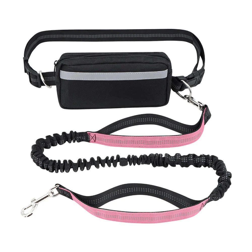 Dog Leash Double-Handle Hands-Free Bungee Reflective Walking Leash Fall 2025 Safe Control - Image 5