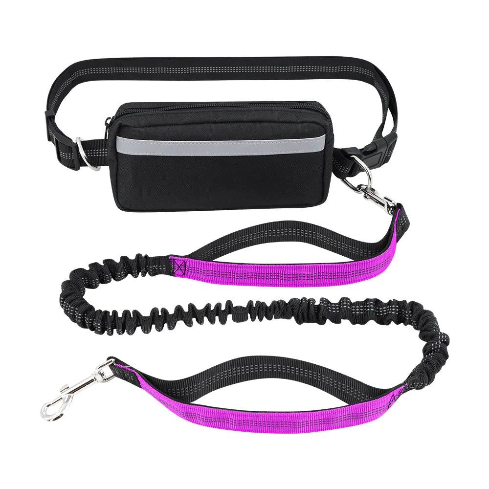 Dog Leash Double-Handle Hands-Free Bungee Reflective Walking Leash Fall 2025 Safe Control - Image 8