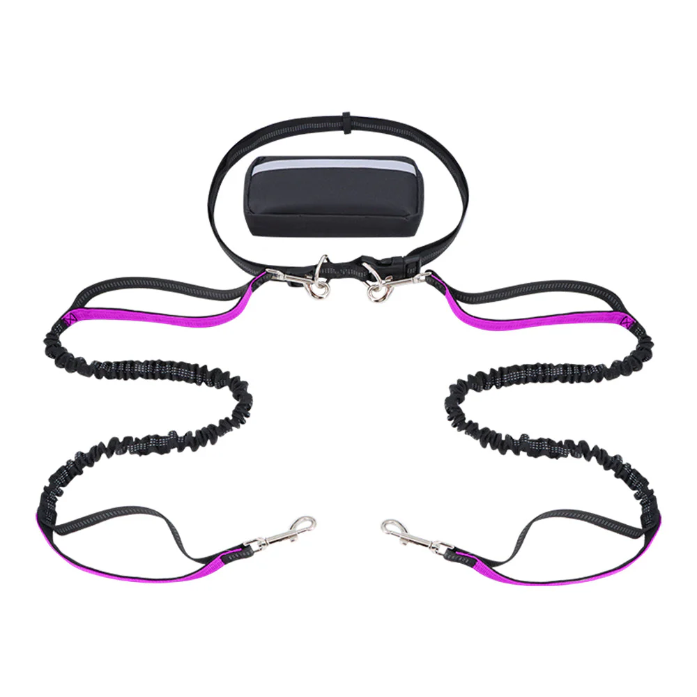 Dog Leash Double-Handle Hands-Free Bungee Reflective Walking Leash Fall 2025 Safe Control - Image 9