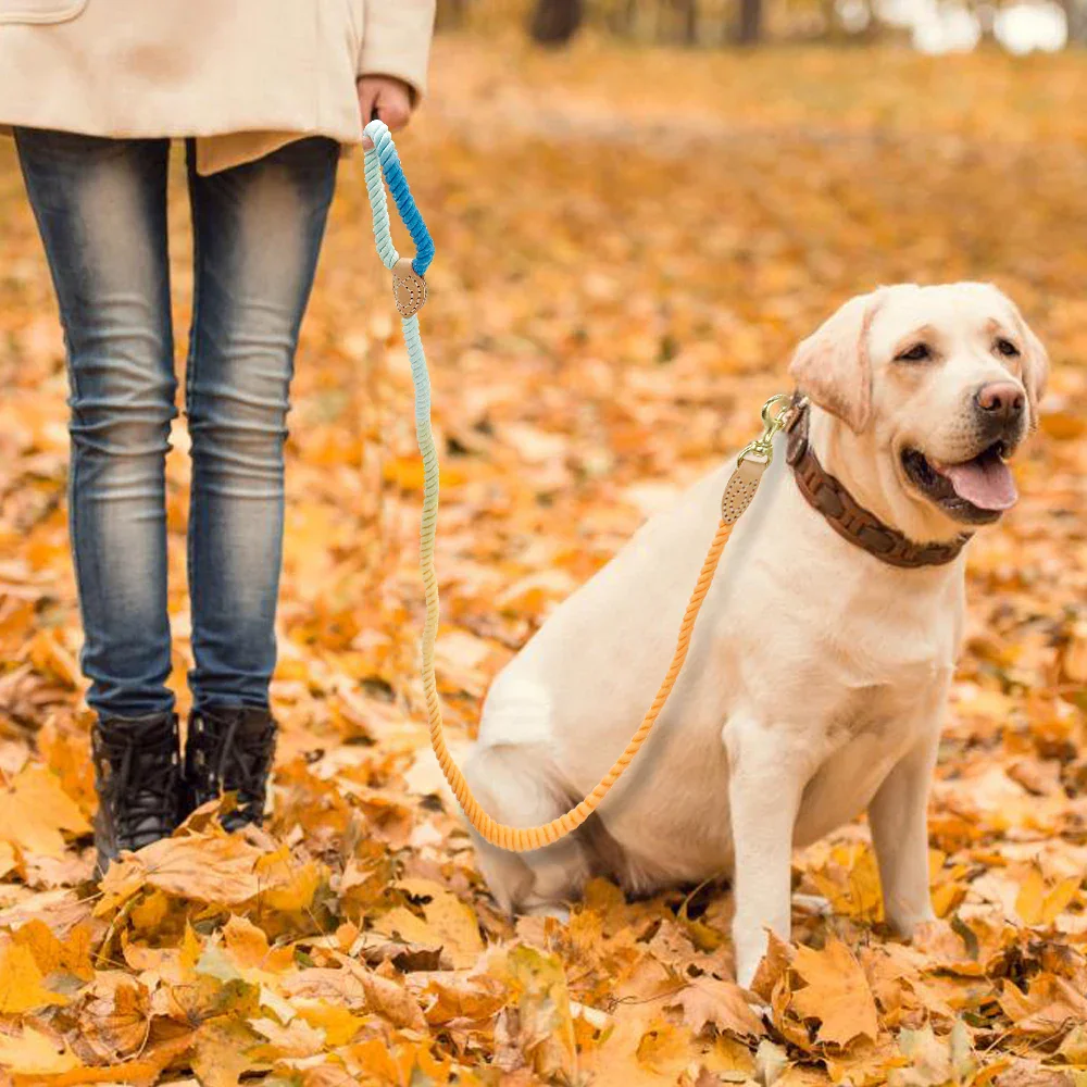 Dog Leash Rope Nylon Heavy Duty Walking Lead Hiking Training Fall 2025 Comfortable Leather Wrapped Grip - Image 6