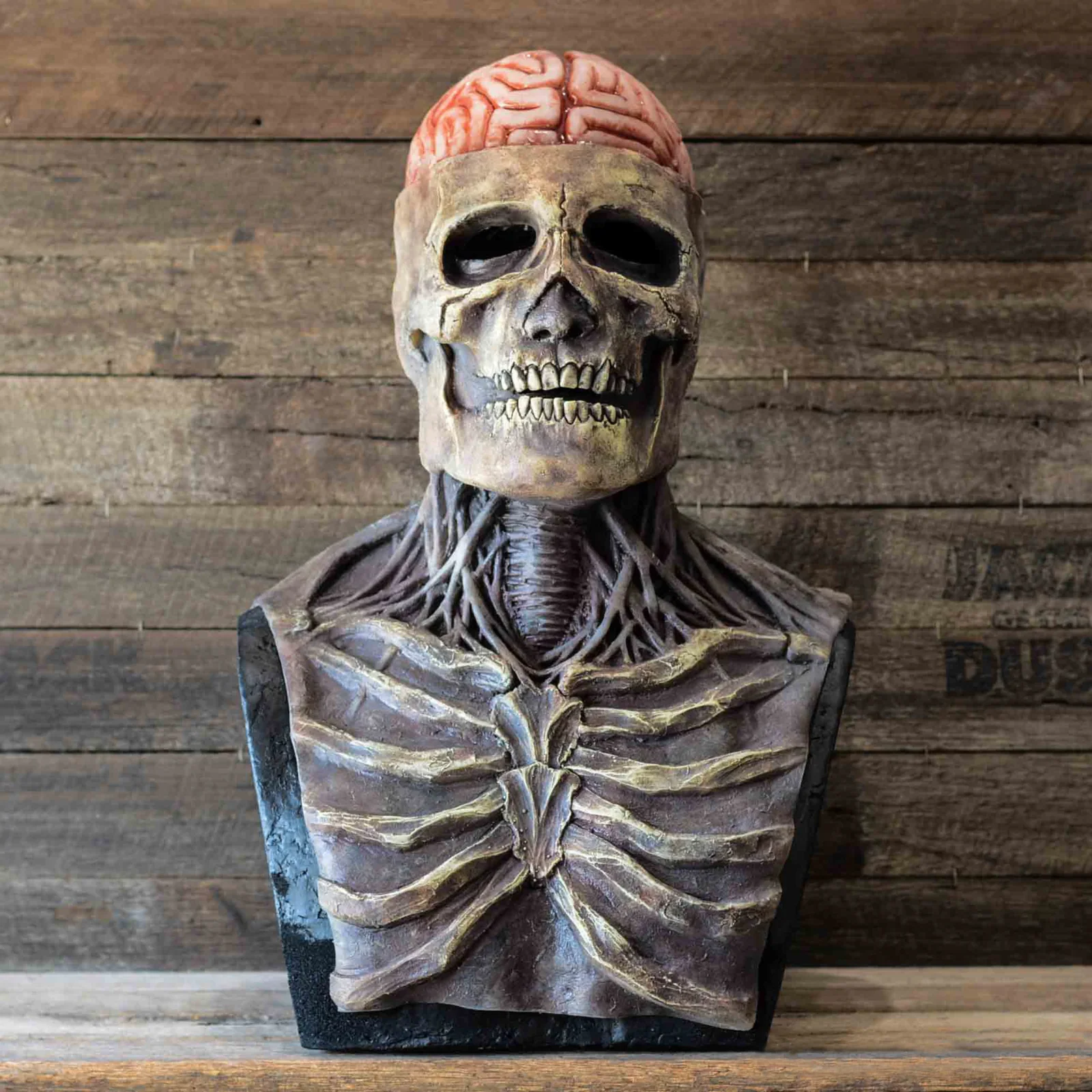 Realistic Movable Jaw Skeleton Mask with Hat – Full Head Halloween Cosplay Accessory for Parties and Events - Image 7