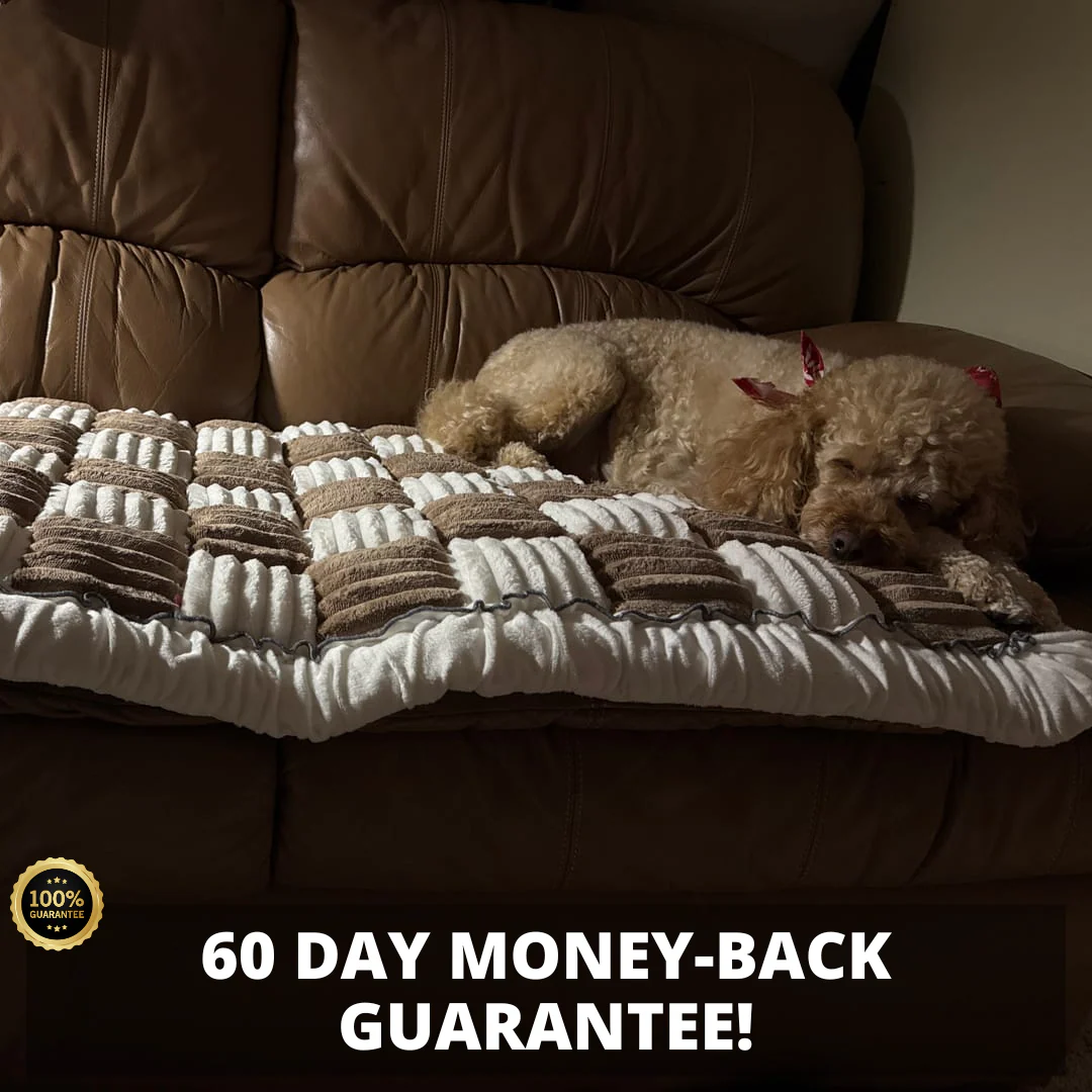 Furniture Protector Thick Orthopedic Padding Couch Cover Fall 2025 Cozy Pet Safe Sofa Shield - Image 14