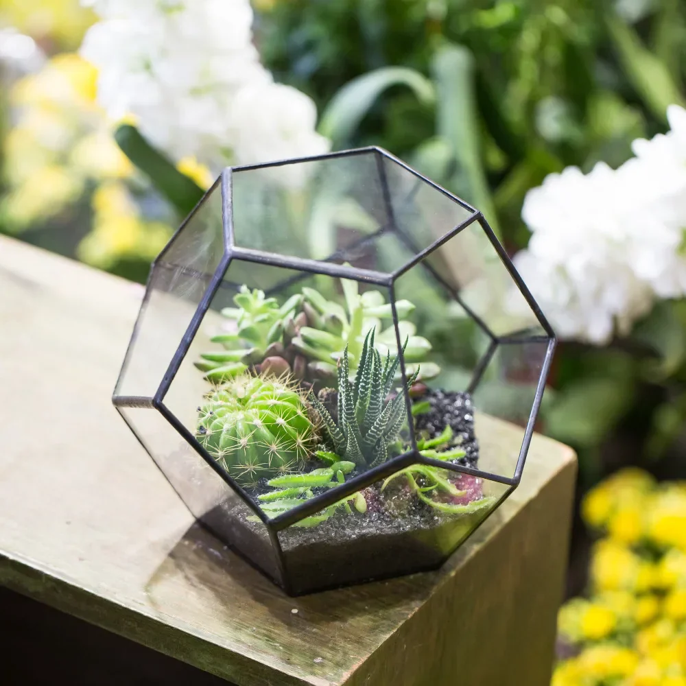 Glass Terrarium Gold Geometric Planter Modern Desktop Plant Display Fall 2025, Succulent Bonsai Gift - Image 3