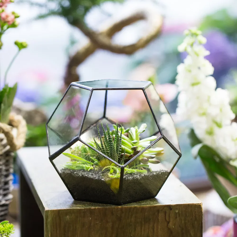 Glass Terrarium Gold Geometric Planter Modern Desktop Plant Display Fall 2025, Succulent Bonsai Gift - Image 4