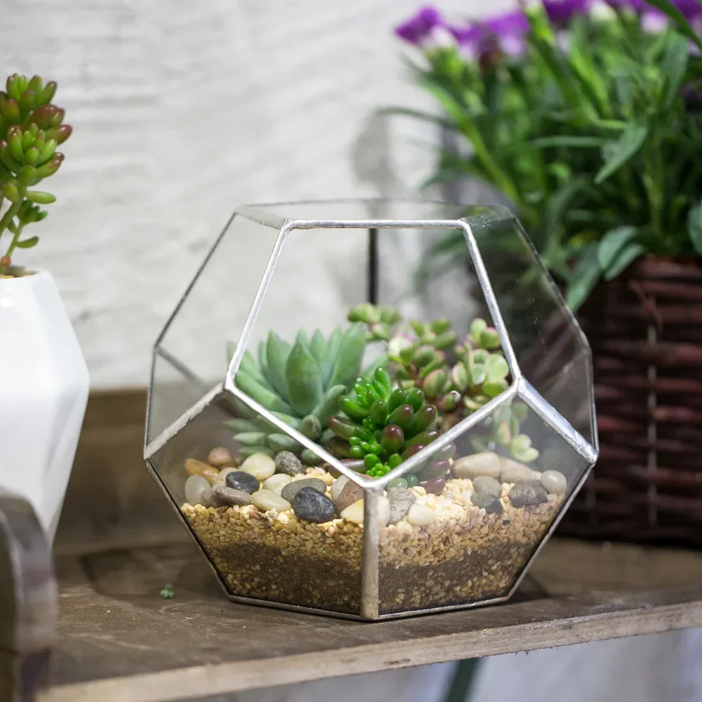 Glass Terrarium Gold Geometric Planter Modern Desktop Plant Display Fall 2025, Succulent Bonsai Gift - Image 5