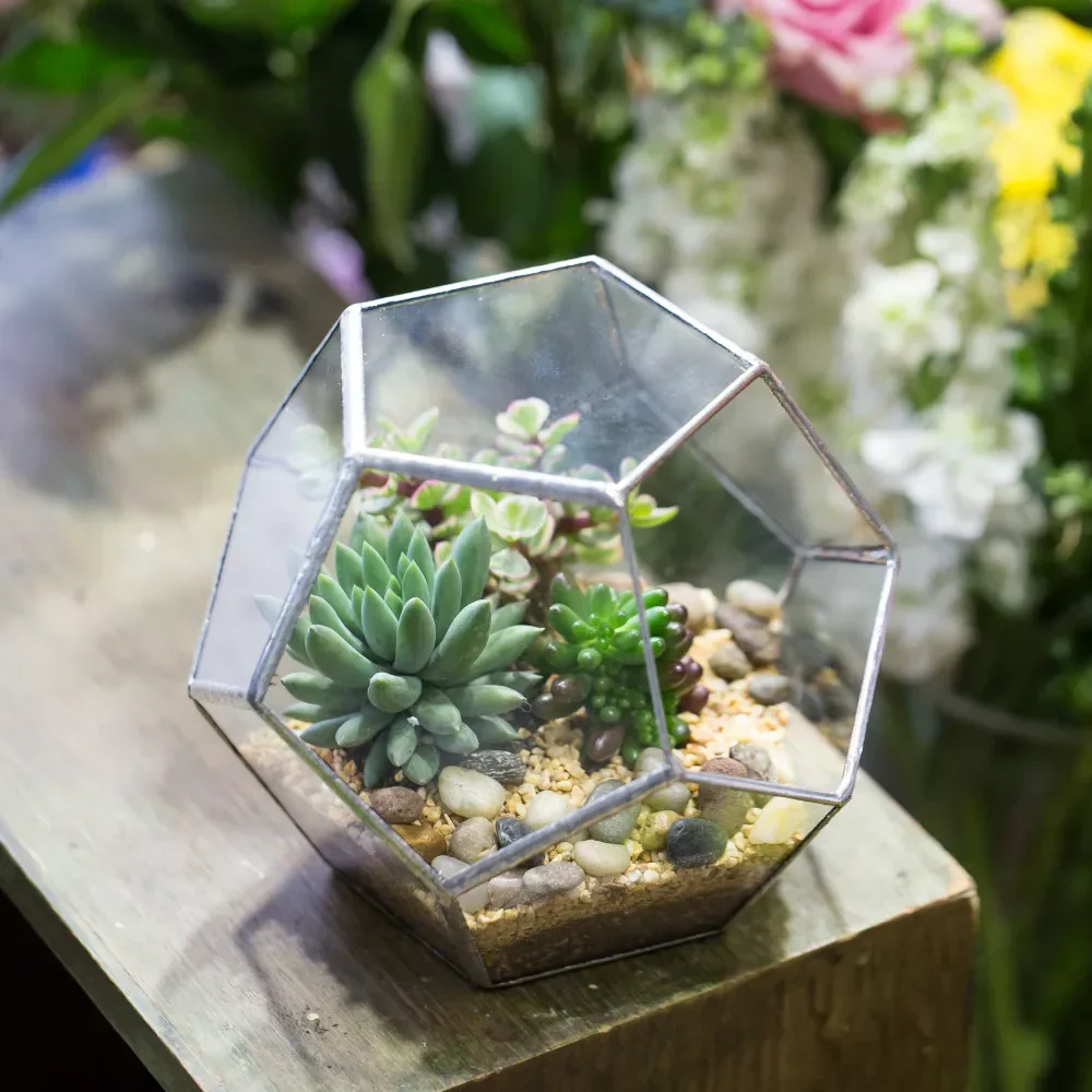 Glass Terrarium Gold Geometric Planter Modern Desktop Plant Display Fall 2025, Succulent Bonsai Gift - Image 6