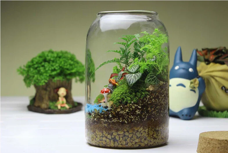 Glass Terrarium Vase Round Bottom Handmade Succulent Terrarium Kit Fall 2025 Tabletop Home Decor Gift - Image 2