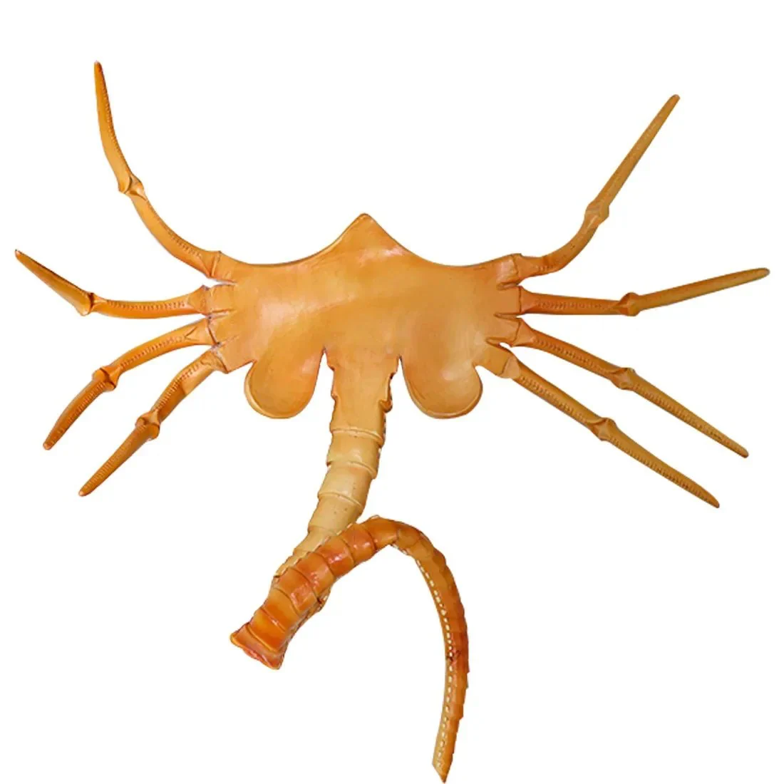 Realistic Half Face Alien Bug Mask - Halloween Costume Scorpion Prop for Cosplay Parties and Scary Events - Image 7