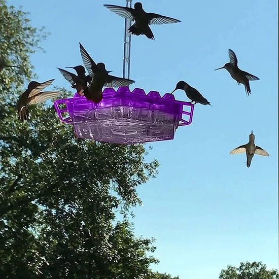 Hummingbird Feeder Ant Proof Outdoor Hanging Perch Hex - Image 3