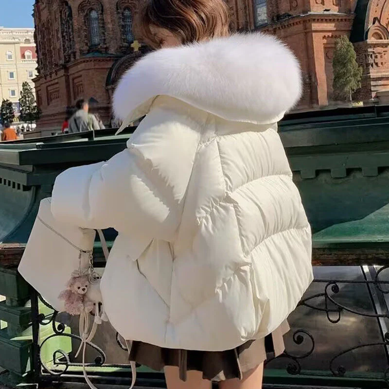 Insulating Women's Puffer Jacket - Short Boxy Fur Collar - Image 6