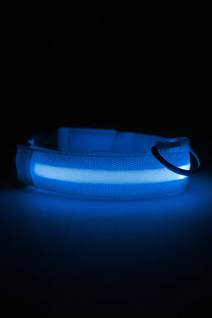 LED Dog Collar Rechargeable Luminous Small Dog Night Walks Fall 2025 Flashing Anti Lost Safety - Image 2