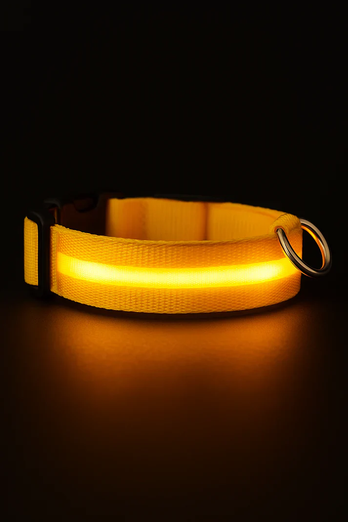LED Dog Collar Rechargeable Luminous Small Dog Night Walks Fall 2025 Flashing Anti Lost Safety - Image 3