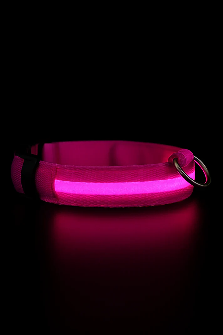 LED Dog Collar Rechargeable Luminous Small Dog Night Walks Fall 2025 Flashing Anti Lost Safety - Image 6