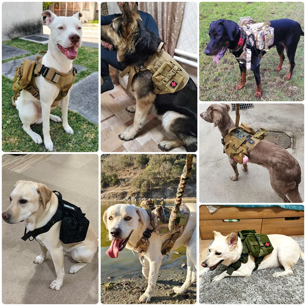 MOLLE Pouch Set For Harness Tactical Dog Gear Attachments Fall 2025 Outdoor Gift Idea - Image 9