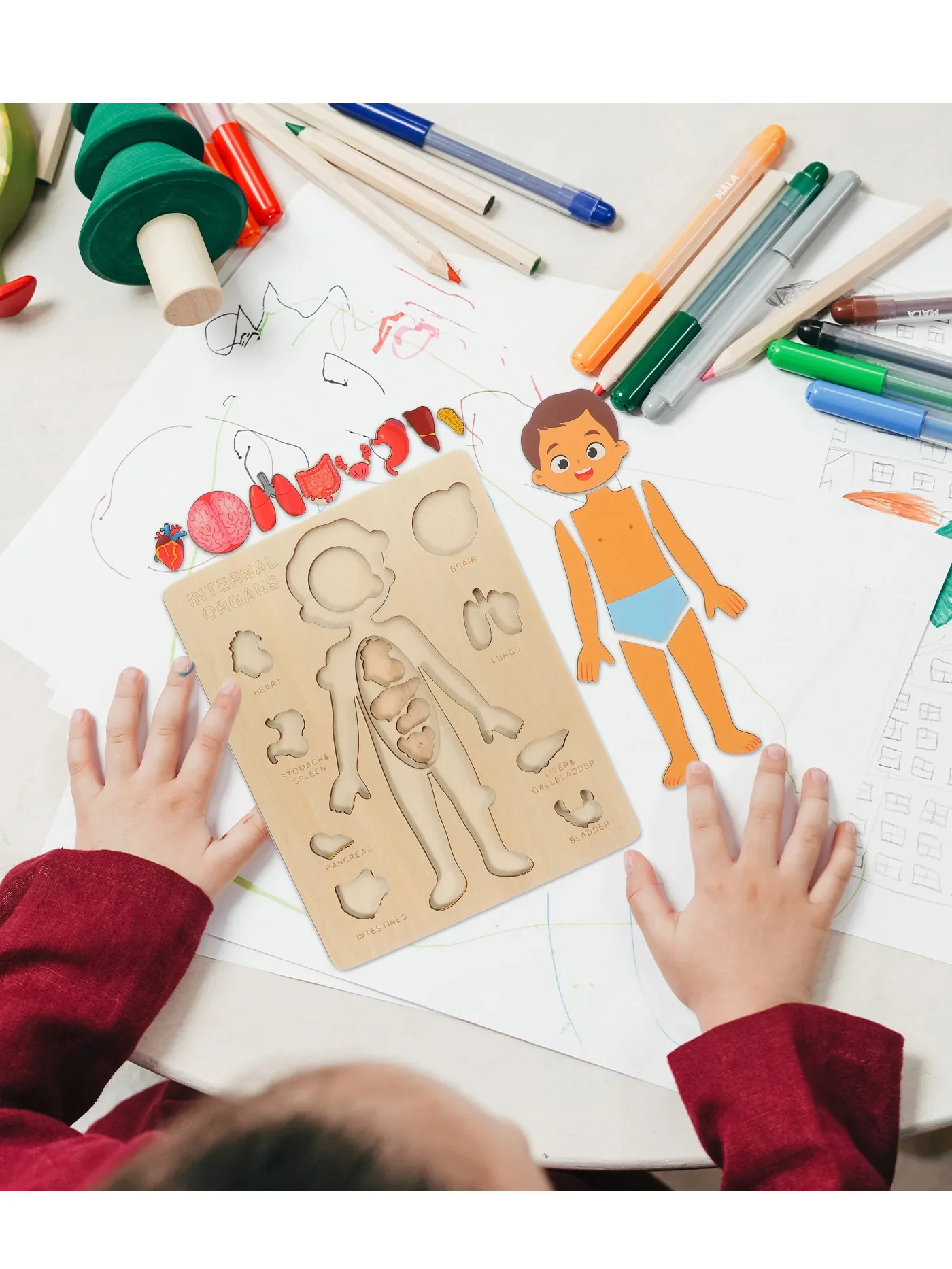 Montessori Human Anatomy Jigsaw Puzzle for Kids, 10 Pieces Educational Toy, Interactive Learning Tool, Non-Toxic Wood, 12 x 9 Inches - Image 3