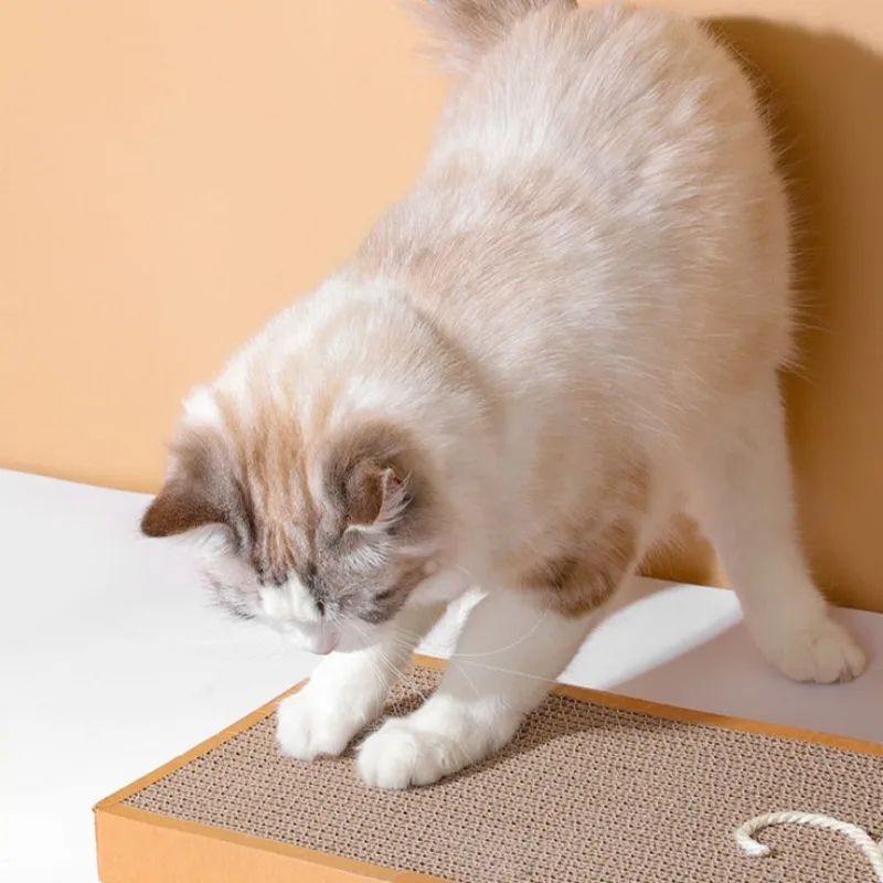 Pet Cat Scratching Board Cat Cardboard Mat for Claw Grinding - Image 5