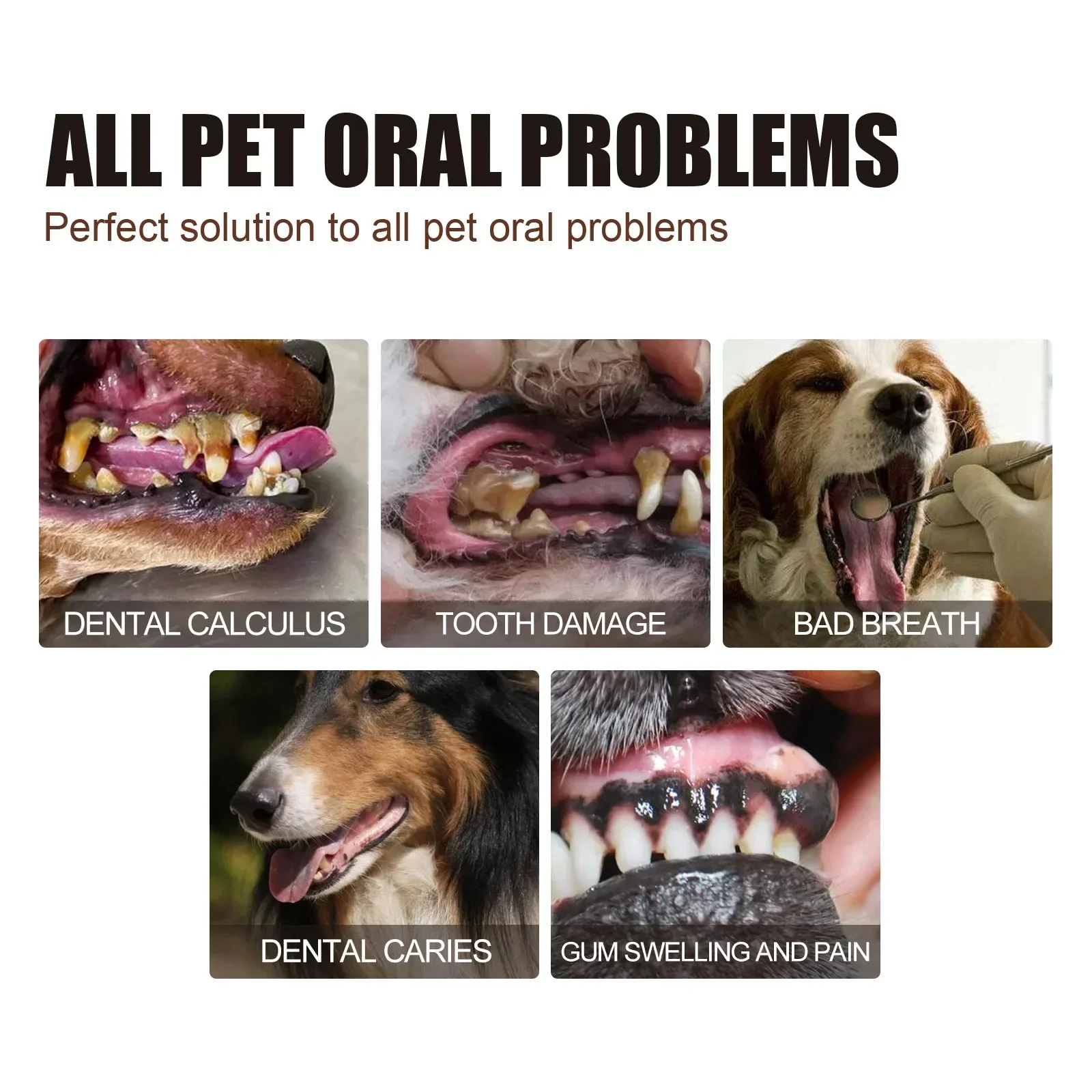 Pet Grooming Care Dental Spray for Dogs & Cats - Bad Breath Freshener & Oral Cleaning, 30ml - Image 3