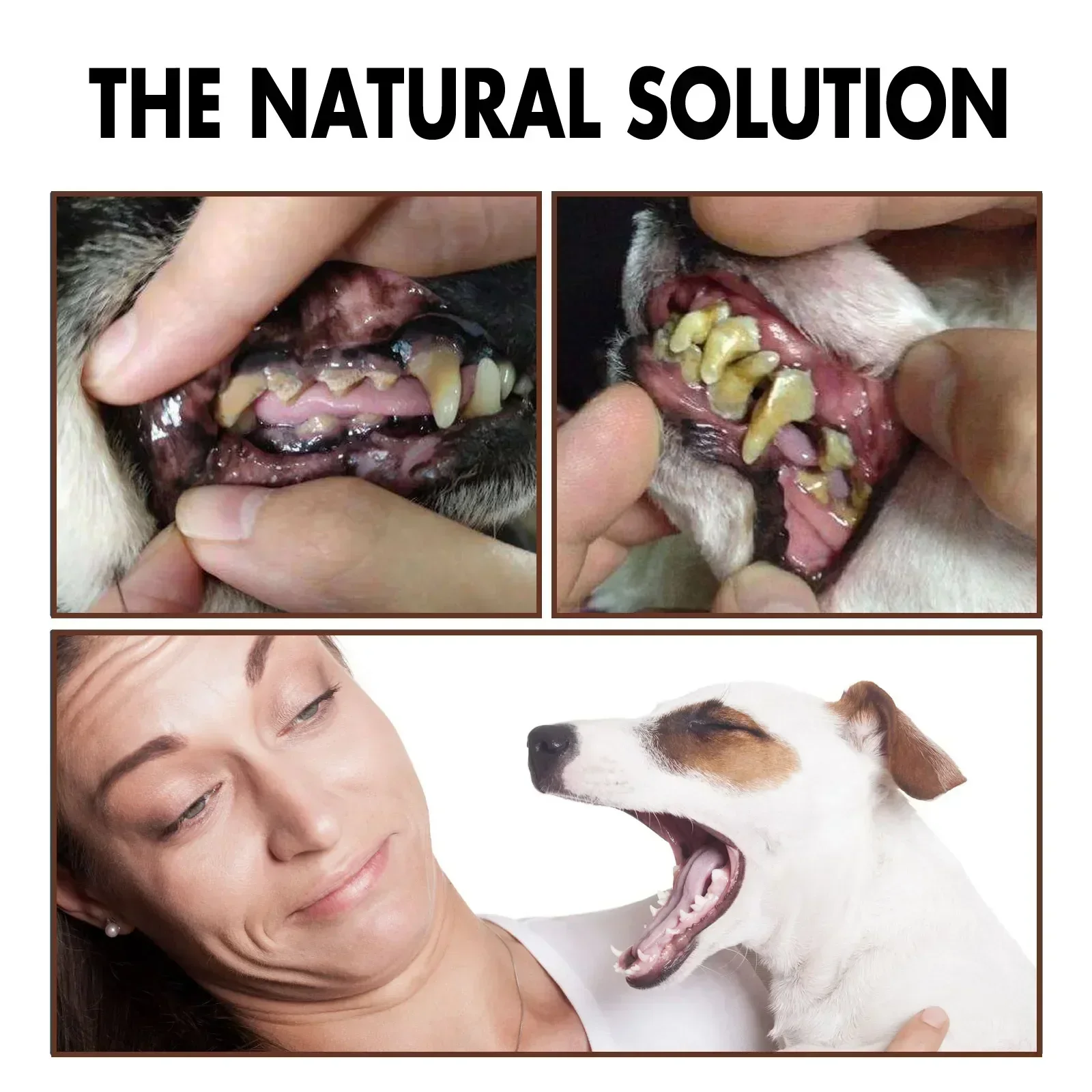 Pet Grooming Care Dental Spray for Dogs & Cats - Bad Breath Freshener & Oral Cleaning, 30ml - Image 4