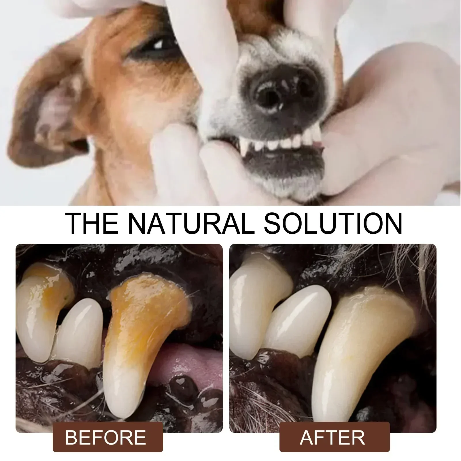 Pet Grooming Care Dental Spray for Dogs & Cats - Bad Breath Freshener & Oral Cleaning, 30ml - Image 5