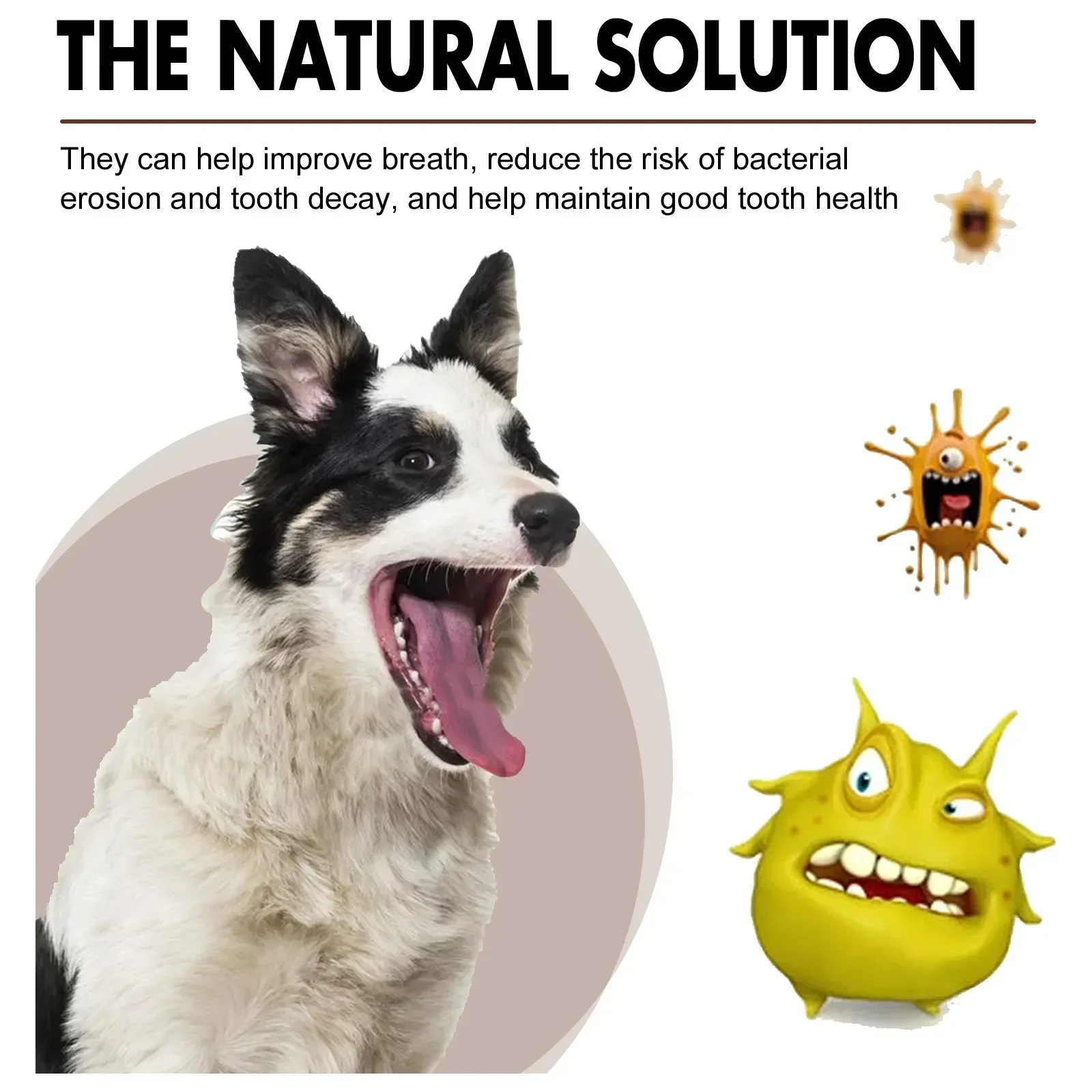 Pet Grooming Care Dental Spray for Dogs & Cats - Bad Breath Freshener & Oral Cleaning, 30ml - Image 6