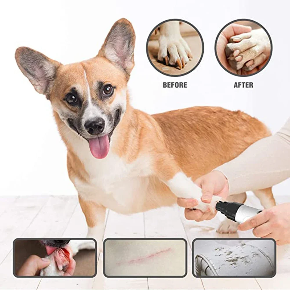 Professional Electric Pet Nail Grinder with Diamond Bit - Low Noise Grooming Tool for Dogs and Cats - Image 2