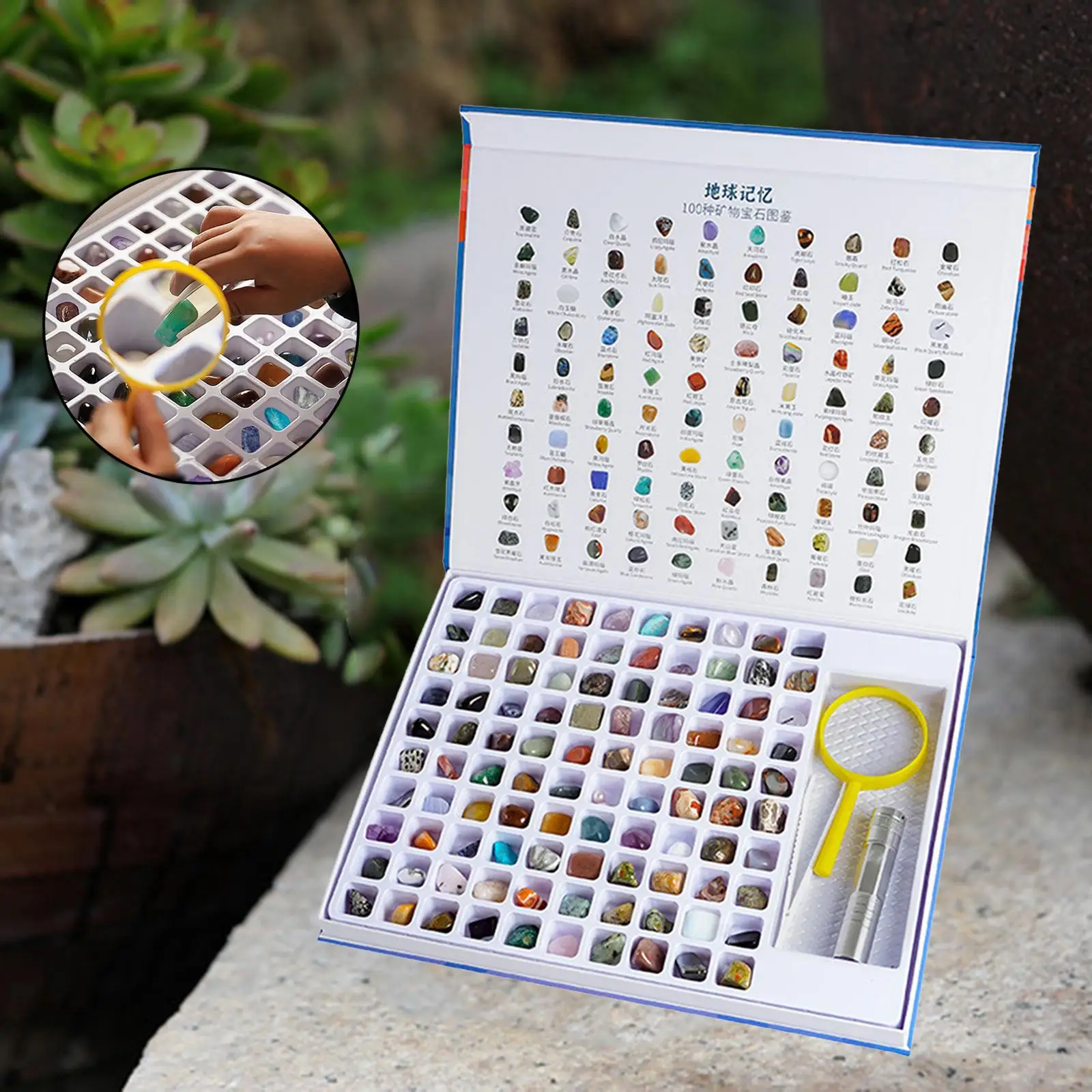 Rock Mineral Kit Natural Gemstone Collection Geology Educational Kit Kids Fall 2025 STEM Learning Gift - Image 2