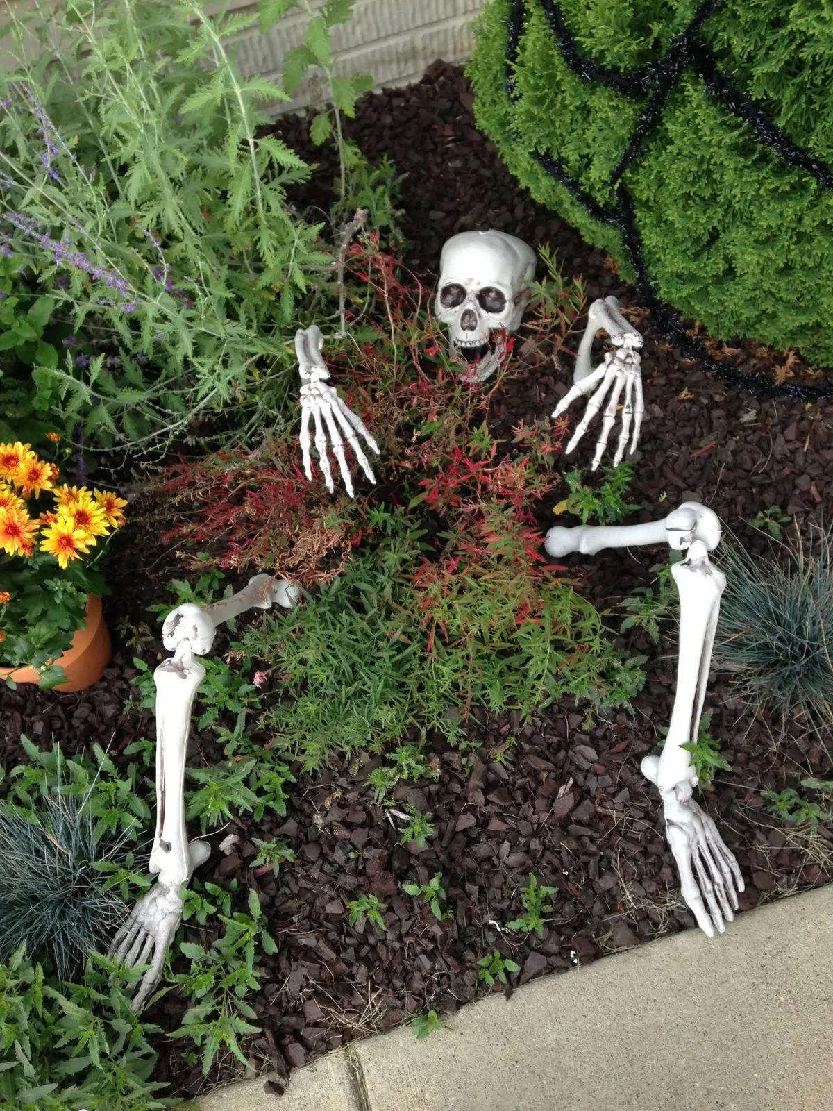 Skeleton Stakes Realistic Skull And Hands Lawn Halloween Decor Fall 2025 Outdoor Spooky Yard Prop - Image 2