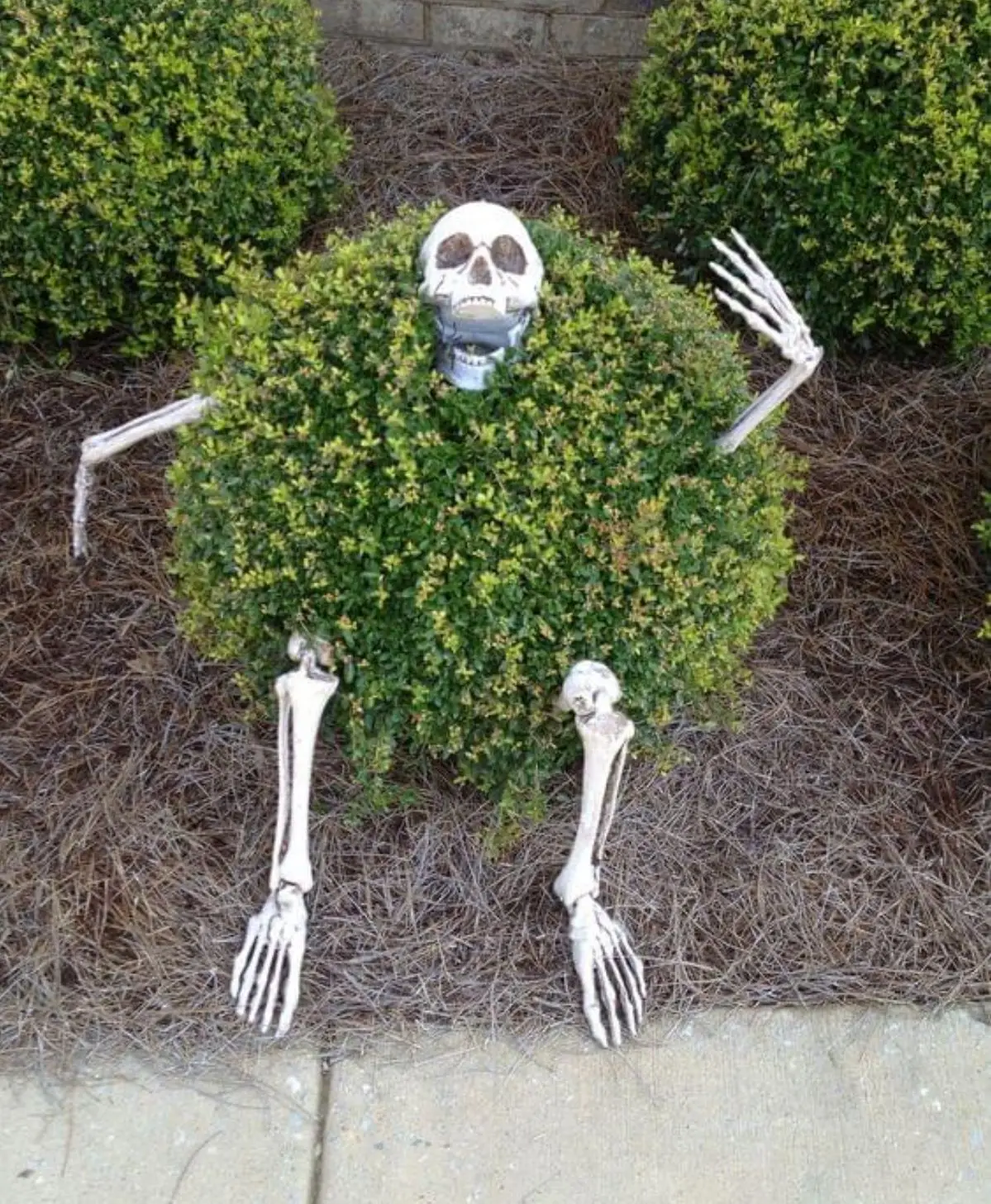Skeleton Stakes Realistic Skull And Hands Lawn Halloween Decor Fall 2025 Outdoor Spooky Yard Prop - Image 3