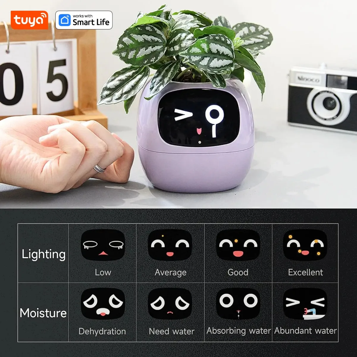 Smart Planter with 49 Expressions & 7 Sensors for Easy Plant Care - Image 5