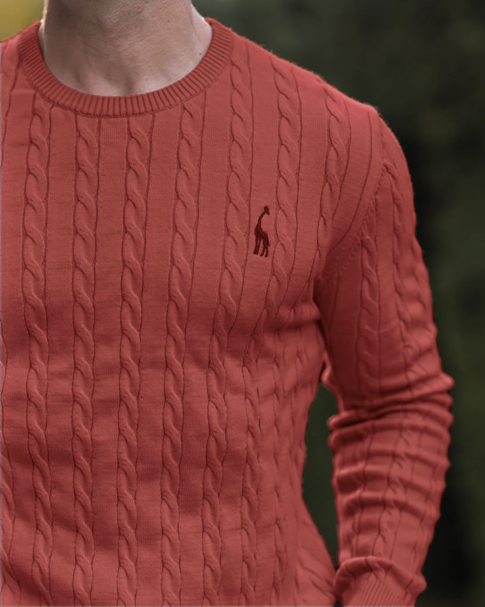 Soft Timeless Men's Cable Knit Sweater - Crewneck, Cotton - Image 19