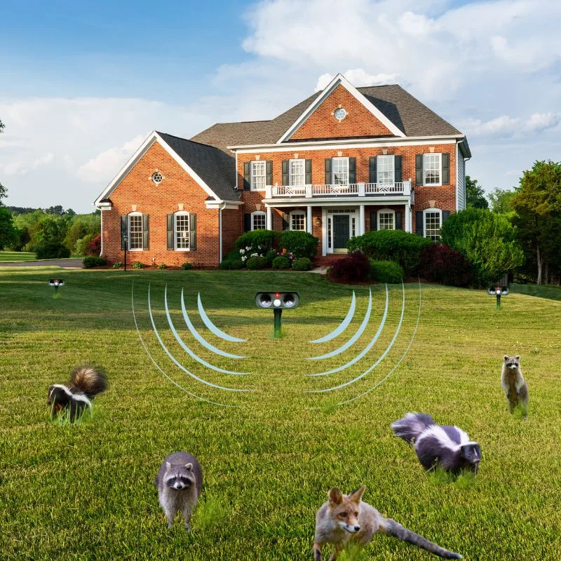 Solar Infrared Animal Repeller Yard Deterrent 2025 - Image 2