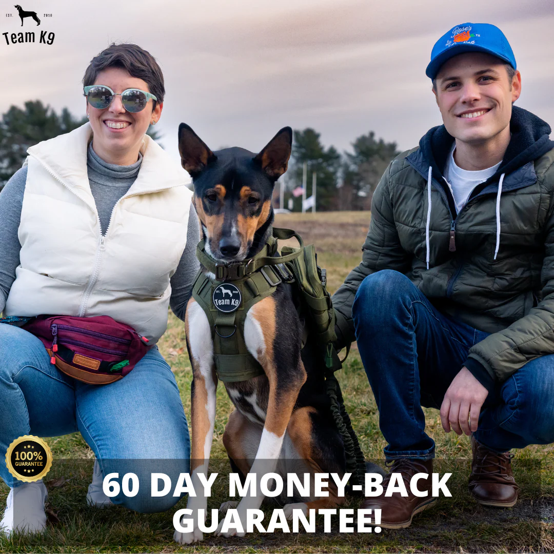 Tactical Dog Harness No-Pull With Front And Back D-Rings Quick-Release Buckles Top Handle Heavy-Duty Training - Image 66