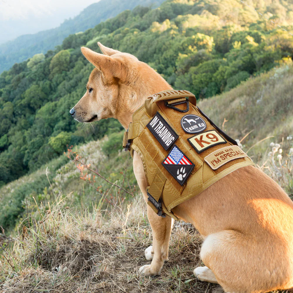 Tactical Dog Harness No-Pull With Front And Back D-Rings Quick-Release Buckles Top Handle Heavy-Duty Training - Image 73